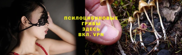 дмт Алексеевка