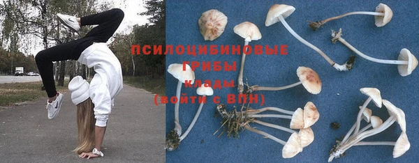 дмт Алексеевка